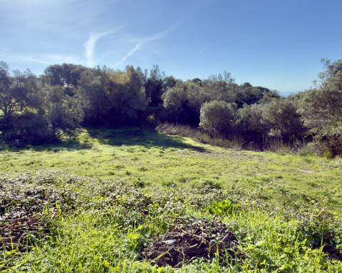 Terreno de 5900 m2 com projeto PIP para construção de uma moradia com 4 quartos I Maravilhosa vista mar I Estoi