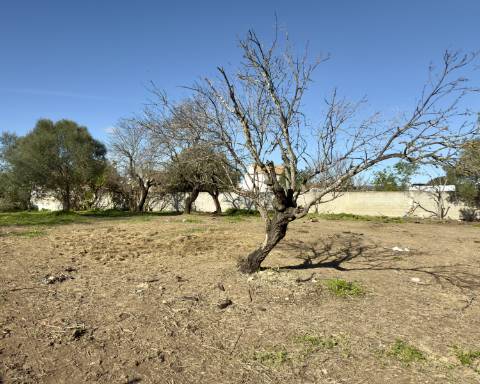 Terreno de 1180 m² com moradia contemporânea térrea de 210 m² I 6 quartos com piscina I Projeto de exceção aprovado com localização privilegiada I Aldeia de Estoi I Faro
