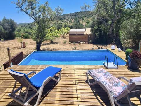 Casa tradicional renovada I 2 quartos I Terreno de 4383 m² com vistas magníficas para o campo I Perto de Loulé