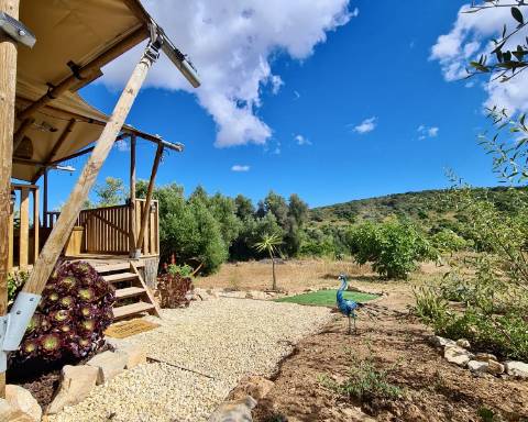 Casa tradicional renovada I 2 quartos I Terreno de 4383 m² com vistas magníficas para o campo I Perto de Loulé