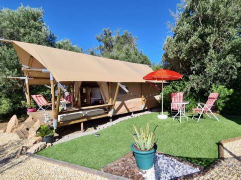 Casa tradicional renovada I 2 quartos I Terreno de 4383 m² com vistas magníficas para o campo I Perto de Loulé