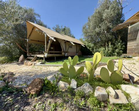 Casa tradicional renovada I 2 quartos I Terreno de 4383 m² com vistas magníficas para o campo I Perto de Loulé