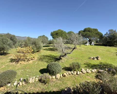 Elegante quinta I 5 quartos I Grande piscina I Terreno magnífico I Quelfes
