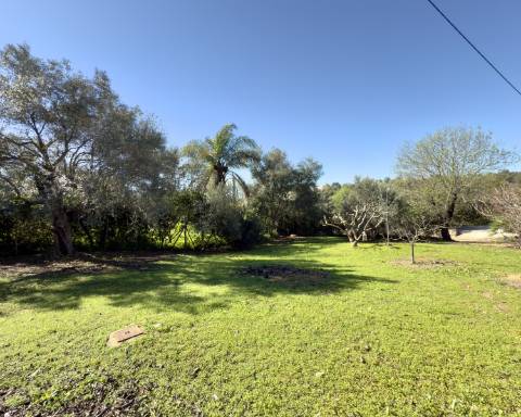 Elegante quinta I 5 quartos I Grande piscina I Terreno magnífico I Quelfes