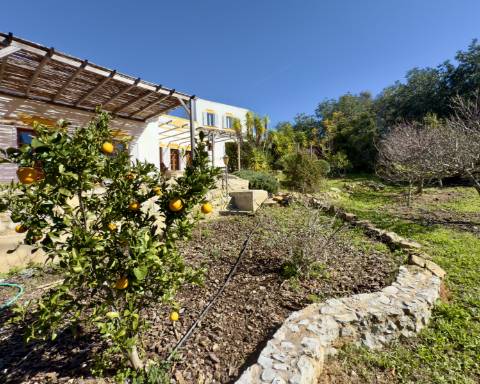 Elegante quinta I 5 quartos I Grande piscina I Terreno magnífico I Quelfes