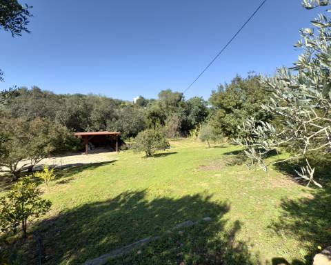 Elegante quinta I 5 quartos I Grande piscina I Terreno magnífico I Quelfes