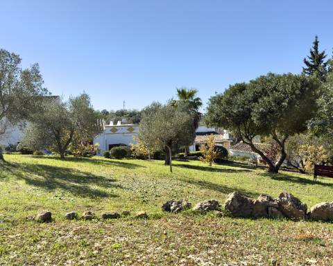 Elegante quinta I 5 quartos I Grande piscina I Terreno magnífico I Quelfes