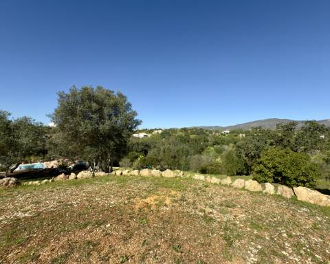 Elegante quinta I 5 quartos I Grande piscina I Terreno magnífico I Quelfes