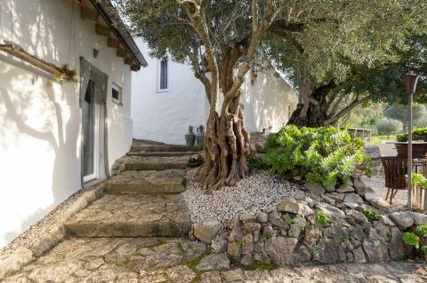 Encantadora casa de campo I 3 quartos I Terreno de 2 ha I Vistas magníficas sobre o campo I Perto de Estói