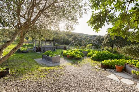 Encantadora casa de campo I 3 quartos I Terreno de 2 ha I Vistas magníficas sobre o campo I Perto de Estói
