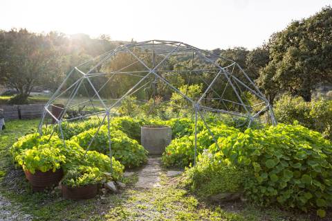 Encantadora casa de campo I 3 quartos I Terreno de 2 ha I Vistas magníficas sobre o campo I Perto de Estói