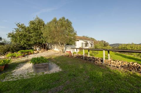Encantadora casa de campo I 3 quartos I Terreno de 2 ha I Vistas magníficas sobre o campo I Perto de Estói