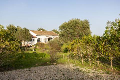 Encantadora casa de campo I 3 quartos I Terreno de 2 ha I Vistas magníficas sobre o campo I Perto de Estói