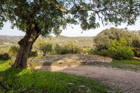 Encantadora casa de campo I 3 quartos I Terreno de 2 ha I Vistas magníficas sobre o campo I Perto de Estói