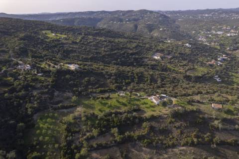 Encantadora casa de campo I 3 quartos I Terreno de 2 ha I Vistas magníficas sobre o campo I Perto de Estói