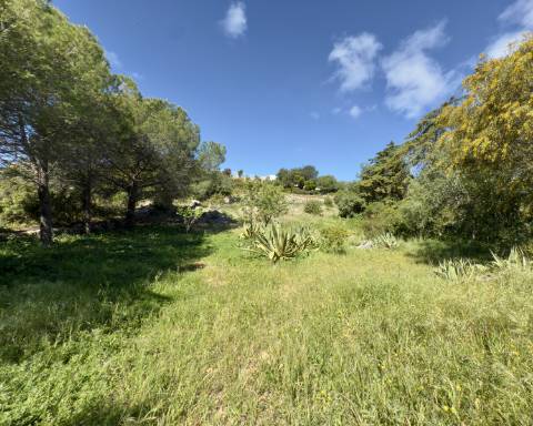 Oportunidade Excecional: Terreno com projeto aprovado para moradia com vista panorâmica para o mar | 3 Quartos | Piscina | Quinta das Raposeiras I Santa Barbara de Nexe
