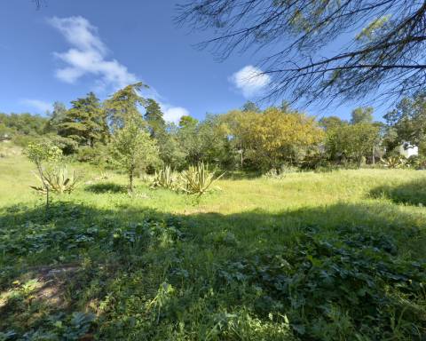 Oportunidade Excecional: Terreno com projeto aprovado para moradia com vista panorâmica para o mar | 3 Quartos | Piscina | Quinta das Raposeiras I Santa Barbara de Nexe