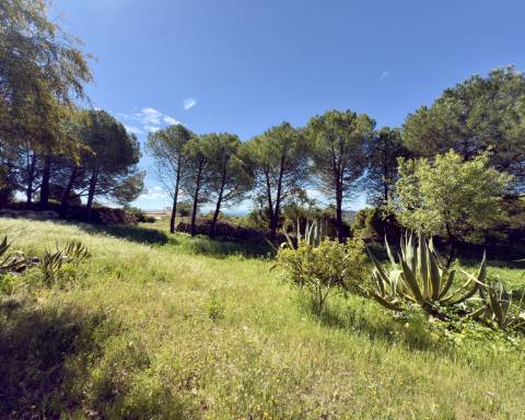 Oportunidade Excecional: Terreno com projeto aprovado para moradia com vista panorâmica para o mar | 3 Quartos | Piscina | Quinta das Raposeiras I Santa Barbara de Nexe