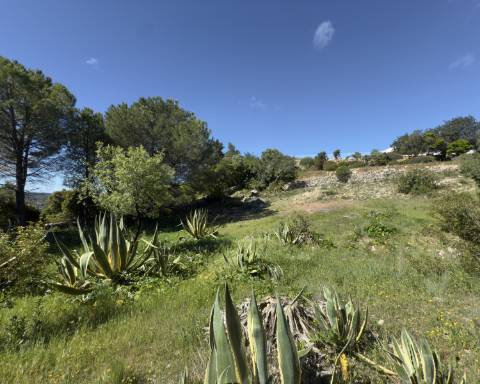 Oportunidade Excecional: Terreno com projeto aprovado para moradia com vista panorâmica para o mar | 3 Quartos | Piscina | Quinta das Raposeiras I Santa Barbara de Nexe