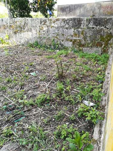 Terreno Porto para construção de moradia