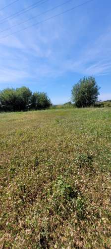 Armazém Gondomar com 2 negócios