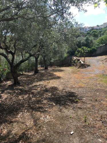 Propriedade mista Torre de Moncorvo