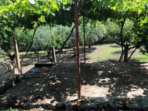 Terreno para moradia e terreno rural Torre de Moncorvo