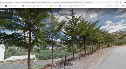 Terreno para moradia e terreno rural Torre de Moncorvo