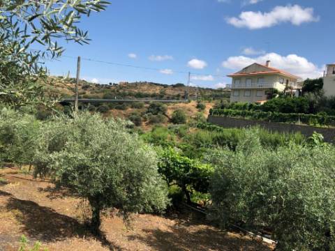 Quintinha em Torre de Moncorvo