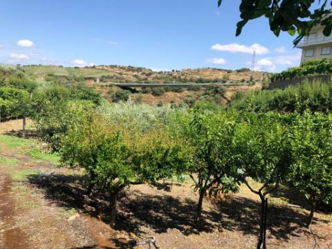 Quintinha em Torre de Moncorvo