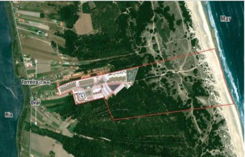 Lotes para moradias T3 com 2 frentes, Torreira