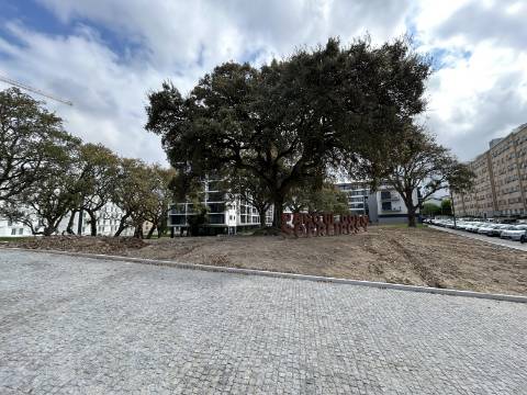 Vive Perto de Tudo! T1 no Polo Universitário Asprela
