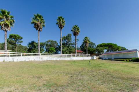 Quinta em Serradas, com terreno de 17.000m²