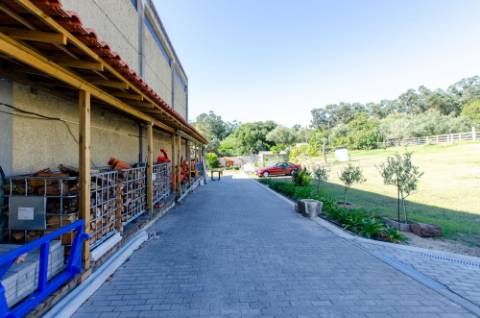 Quinta em Serradas, com terreno de 17.000m²