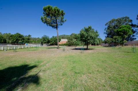Quinta em Serradas, com terreno de 17.000m²