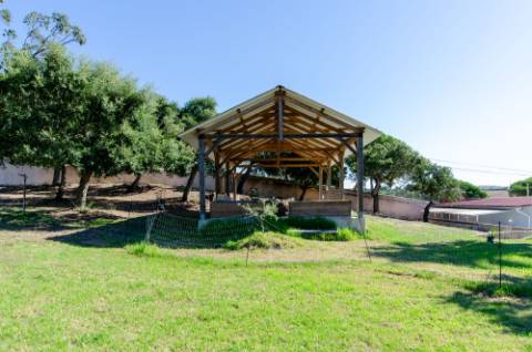 Quinta em Serradas, com terreno de 17.000m²