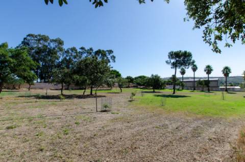 Quinta em Serradas, com terreno de 17.000m²