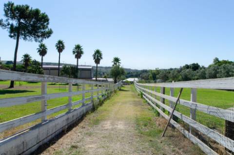 Quinta em Serradas, com terreno de 17.000m²