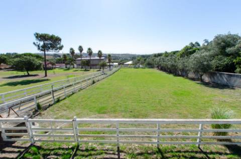 Quinta em Serradas, com terreno de 17.000m²