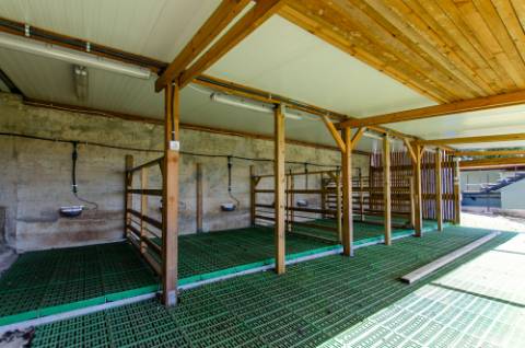 Quinta em Serradas, com terreno de 17.000m²