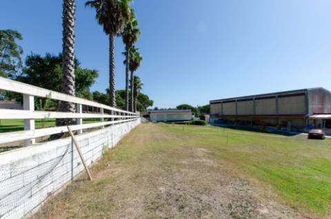 Quinta em Serradas, com terreno de 17.000m²