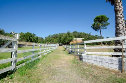 Quinta em Serradas, com terreno de 17.000m²