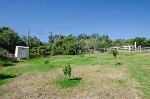 Quinta em Serradas, com terreno de 17.000m²