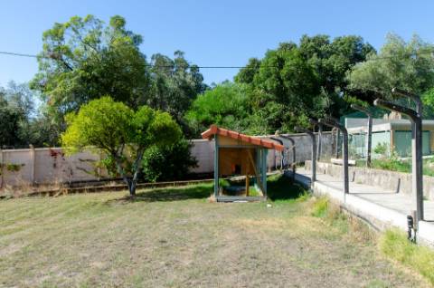 Quinta em Serradas, com terreno de 17.000m²