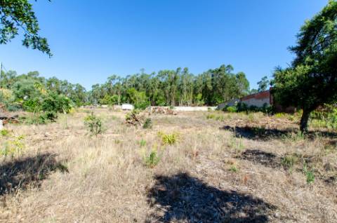Quinta em Serradas, com terreno de 17.000m²