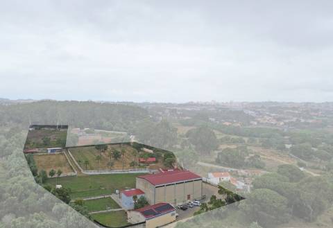 Quinta em Serradas, com terreno de 17.000m²