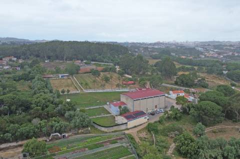 Quinta em Serradas, com terreno de 17.000m²