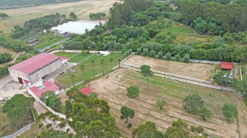 Quinta em Serradas, com terreno de 17.000m²