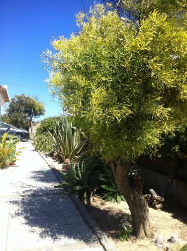 Prédio com 9 frações em Sagres