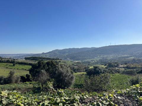 Moradia em ruínas, em Almargem do Bispo
